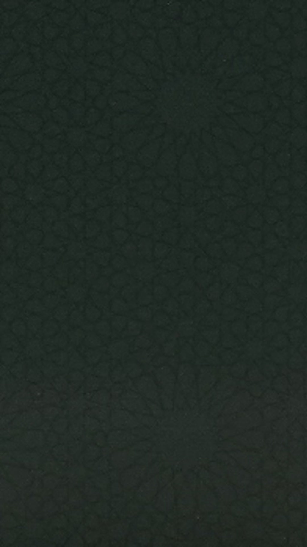 Muslim Progress Tracker